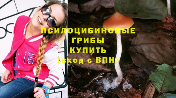 тгк Алексин